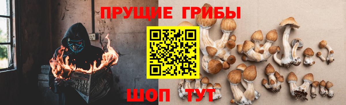 Галлюциногенные грибы MAGIC MUSHROOMS  Галлюциногенные грибы Cubensis  Ленинск-Кузнецкий 